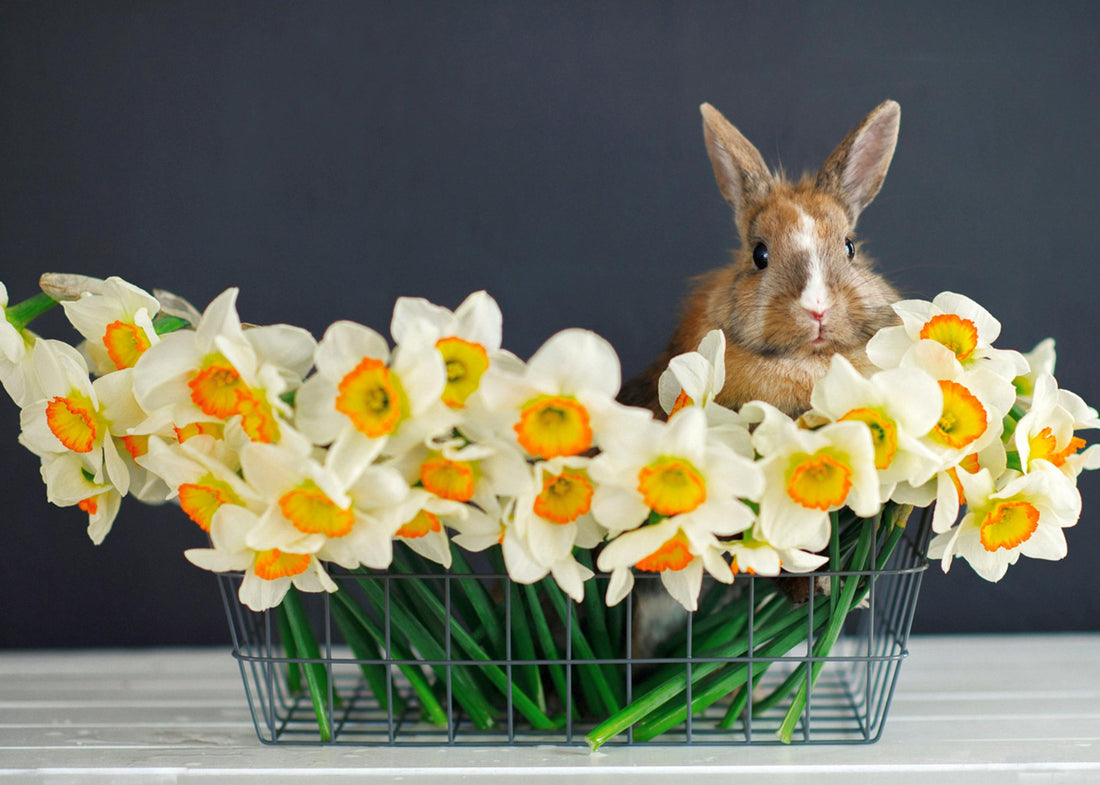 Easter bouquets