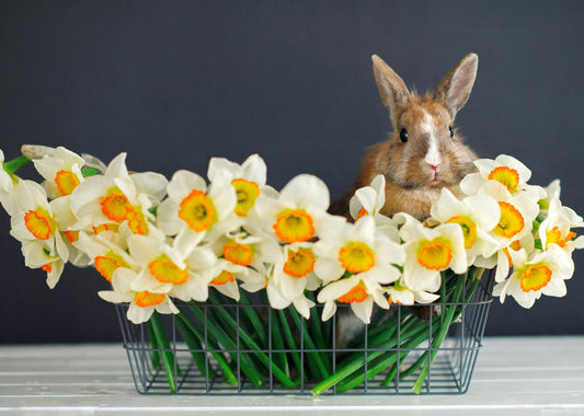 Easter bouquets